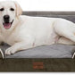 Comfort Expression Jumbo Breed Dog Bed, Large Dog Bed for Extra Large Dogs, Waterproof Orthopedic Dogs Beds, PV Washable Sofa Beds with Removable Cover & Non-Slip Bottom(Jumbo,Dark Green)