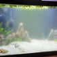 Natural Stone Aquarium Decoration 4.4 lb Dragon Stone Rock Mixed Sizes for Micro Landscape Fish Tank Decor
