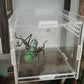 Magnetic Acrylic Case, micro habitat small Tarantula Enclosure enclosure for arboreal Tarantula Scorpion Sling Lizards Mantis Snake Gecko jumping spider snail Insect Isopods (3.5*3.5*3.7inch)