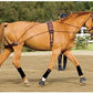 Dover Saddlery Balance Complete Training System, Color: Brown, Size: F/S
