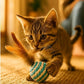 Ball for cat with Feathers - Balls for Cats – Natural Toy for Indoor Cats – Eco-Friendly, Durable, Interactive Play Balls for Kittens – Pet-Safe Chew & Scratch Toys (Sky Blue)