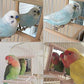 Hypeety Bird Parrot Mirror Toy Swing Hanging with Perch for Parrot Parakeet Budgies Cockatiel Conure Finch Lovebird (D)