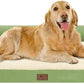 Large Dog Bed Orthopedic Washable - Beds Bolster - Extra XL XLarge Big Dogs - Memory Foam Couch Sofa - Waterproof with Removable Cover - Grass Green Dog Bed
