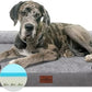 Comfort Expression Orthopedic Memory Foam Dog Beds for Giant Dogs, XXL Dogs Beds Washable, Waterproof Dog Beds with Bolster & Removable Cover(XX-Large,Silver Grey)