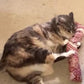 15" Catnip Cat Kicker Toys/Kitty Kick Sticks/Cat-Nip Kick Sticks (Ruby Red) (Kickers Filled with 1 oz Premium Canadian Catnip)