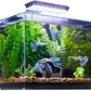 Imagitarium Glass Versa Aquarium 6.6 Gallons