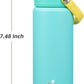 Insulated Water Bottle with Straw Lid,18 oz Stainless Steel Vacuum Metal Bottle with Silicone Handle,Twilight Blue