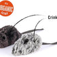 P.L.A.Y. Cute Plush Cat Toys - Feline Frenzy Animal Critter Themed Catnip Filled Toy, Great for Adult Cats and Kittens - Machine Washable, Recycled Materials, Crinkles (Catch a Meowse, Set of 2)