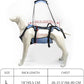 Coodeo Dog Lift Harness, Full Body Support & Recovery Sling, Pet Rehabilitation Lifts Vest for Old Dog with Arthritis Walk(Bule,L)