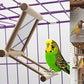 Hypeety Bird Parrot Mirror Toy Swing Hanging with Perch for Parrot Parakeet Budgies Cockatiel Conure Finch Lovebird (D)