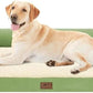 Large Dog Bed Orthopedic Washable - Memory Foam - XXL Large Big Dogs - Beds Bolster Pet - Couch Sofa - Waterproof with Removable Cover - Grass Green Dog Bed