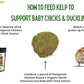 Organic Kelp for Chickens & Duck Feed (5 Pound): Chicken Vitamins | Chicken Supplements | Vitamins for Chickens | Pampered Chicken Mama