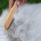 Premium Bamboo Cat Grooming Kit: Cat Brushes for Indoor Cats, Kitten Brush, and Dematting Comb for Long Haired Cats | Bamboo Grooming Supplies with kitten brush