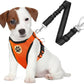 SlowTon Dog Seat Belt Harness for Car, Dog Car Harness Adjustable Mesh Breathable & Dog Seatbelt Safety Tether with Elastic Bungee for Small Medium Large Pets(Orange, Double Clip, S)