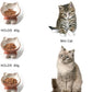 Nihow Elevated Cat/Dog Bowls Set : 5 Inch Ceramic Raised Cat Food & Water Bowl Set for Protecting Pet's Spine - Feeding & Watering Supplies for Pets - Elegant Brown (2 PC)