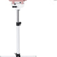 Burano High Velocity Dog Pet Stand Grooming Dog Dryer with 4.3HP Variable Dog Blow Dryer, Fluffy Dry