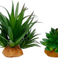 Smoothedo-Pets Reptile Artificial Plants Succulent Terrarium Decor Desert Plant Lizard Bearded Dragon Chameleon Gecko Snake Amphibian Habitat Hideout Turtle Tank Accessories (Green-2pcs-Set)