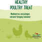 Manna Pro Mealworms Poultry Treat - High Protein, 100% Natural, 10oz