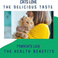 Vitality Lickable Cat Treat Pouches for Indoor Cats - All Natural Chicken Puree Tube Treats, Kitten and Senior Soft Wet Cat Treat - Grain Free, Lysine, Taurine; 12 Tubes .05 oz ea.