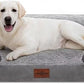 Comfort Expression Jumbo Dog Bed for Extra Large Dogs, Waterproof Orthopedic Dog Bed, Large Breed Dogs Beds, PV Washable Sofa Beds with Removable Cover & Non-Slip Bottom(Jumbo,Grey)