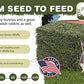 High Desert Alfalfa Hay for Rabbits, Guinea Pigs, Chinchillas & Small Pets – Protein-Rich Natural Hay for Young, Growing Animals – High-Fiber, Hand-Packed, Additive-Free, Grown in USA – 5 lb Box