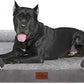 Comfort Expression XXL Orthopedic Dog Bed for Extra Large Dogs, Waterproof Orthopedic Foam Dog Beds, Washable Dogs Sofa Beds with Removable Cover & Non-Slip Bottom(XX-Large,Grey)