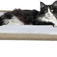 aborishthink Adjustable Cat Window Perch | Sturdy Cat Hammock Window Seat Durable Wood & Metal Frame | Breathable Cover | Ideal for Large & Heavy Cats | Easy Installation for Windowsill