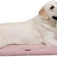Made4Pets Dog Crate Pad Bed for Extra Large Dogs, Washable & Reversible, Anti-Slip Kennel Mat for Cozy Sleeping, Soft Fluffy Dog Bed for Indoor & Outdoor Use, 48"x30", Pink