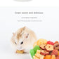 Hamster, Hedgehog, Lizard, Frog, Bird, Hedgehog, Snack, Nutritious, Food for Small Animals