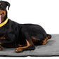 K9 Ballistics Tough Ripstop Dog Crate Pad - Durable & Machine Washable with Non-Skid Bottom and 120-Day Warranty, Fits 48" Wire Crates - X-Large, Light Gray Velvet
