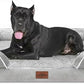 Comfort Expression XXL Orthopedic Foam Dog Bed for Extra Large Dogs, Waterproof Orthopedic Dog Beds, Washable Dogs Sofa Beds with Removable Cover & Non-Slip Bottom(XX-Large,Grey White)