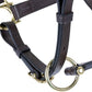 Schneiders Premier Lancaster Fixed Throat Leather Halter for Horses | 1" Single-Ply Leather | Lightweight Everyday Design | Brass Hardware