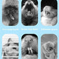 150g 3 Types of Combined Chew Toys Molar Sticks Sweet Bamboo Apple Branch Timothy Grass for Pets Chinchilla Squirrel Gerbil Hamster Squirrel Guinea Pigs