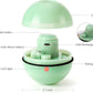WWVVPET Interactive Cat Toy With LED Light, 360 Degree Self Auto Rotating Smart Ball, USB Rechargeable Spinning Toy, Stimulate Hunting Instinct for Kittens, Funny Chaser Roller Pet Toy
