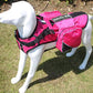 Serijoars Dog Vest Harnesses with Saddlebag Backpack for Camping & Travel - Reflective Hound Hiking Backpack Saddle Bag - Lightweight Vest Harness for Medium & Large Dogs (Hot Pink, M)