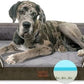 Comfort Expression XXL Dog Beds Memory Foam, Orthopedic Dog Beds for Extra Large Dogs, Waterproof Dogs Bed, Washable Pet Sofa Couch with Bolster & Removable Cover(XX-Large,Olive Green)