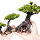 Live Aquarium Plants on Driftwood, Lava Rock, Moss, Fiber Mat - Freshwater Fish Tanks - Easy, Beginner Friendly (Moss on Bonsai Tree, (Small))