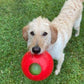 Jolly Pets Teaser Ball Dog Toy, Small/4.5 Inches, Red (1504 RD)