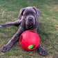 Jolly Pets Teaser Ball Dog Toy, Large/8 Inches, Red (Pack of 2)