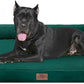 Comfort Expression Orthopedic Dog Bed Waterproof, XXL Dog Beds for Oversized Dogs, Washable Dogs Sofa Bed with Removable Cover & Non-Slip Bottom(XX-Large,Emerald)