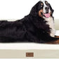 Large Dog Bed Orthopedic Washable - Beds Bolster Pet - XXXL Large Big Dogs - Memory Foam - Couch Sofa Bed- Waterproof with Removable Cover - Beige Dog Bed