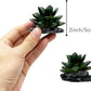 Smoothedo-Pets Reptile Artificial Plants Succulent Terrarium Decor Desert Rainforest Plant Lizard Beard Chameleon Gecko Snake Amphibious Sea Turtle Tank Accessory (Dark-Green-3pcs-Se)