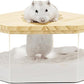 Hamster Sand Bath Box Container, Small Pet Sandbox Lid Design Wooden Sandbox Dust Bath, Transparent Bathroom & Digging Box Acrylic Syrian Hamster Litter Box Animal Accessories (D Small)