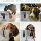 Burano Dog Dryer, High Velocity Pet Hair Dryer, 4.3HP Stepless Adjustable Speed Dog Hair Force Dryer, Powerful Pet Blower with Heater