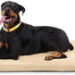 K9 Ballistics Tough Rip-Stop Orthopedic Dog Crate Bed - Durable, Removable, and Washable Cover, Kennel Crate Pad Fits in Crate, X-Large 47"x29", Standstone