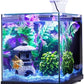 Imagitarium Glass Versa Aquarium 3.7 Gallons