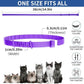 4 Pack Flea Collar for Cats, 32 Months Flea and Tick Prevention for Cats, Waterproof Cat Flea Collar, Natural Cat Flea and Tick Treatment, Adjustable Flea and Tick Collar for Cats Kittens(Grey&Purple)