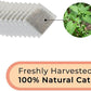 Interactive Catnip Bird Toy Set (10-Pack Replacement Catnip Pouches)