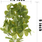 Reptile Plants for Terrarium, Amphibian Habitat Decor Artificial Hanging Plants with Suction Cup - Fake Shamrock