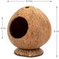 Coconut Hamster Hideout Hamster House Gerbil Cage for Small Animals with a Bundle of Apple Sticks a Carrot (Yellow)